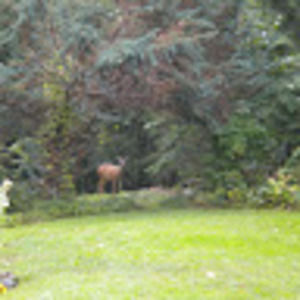 Meet your Posher, Kandyce